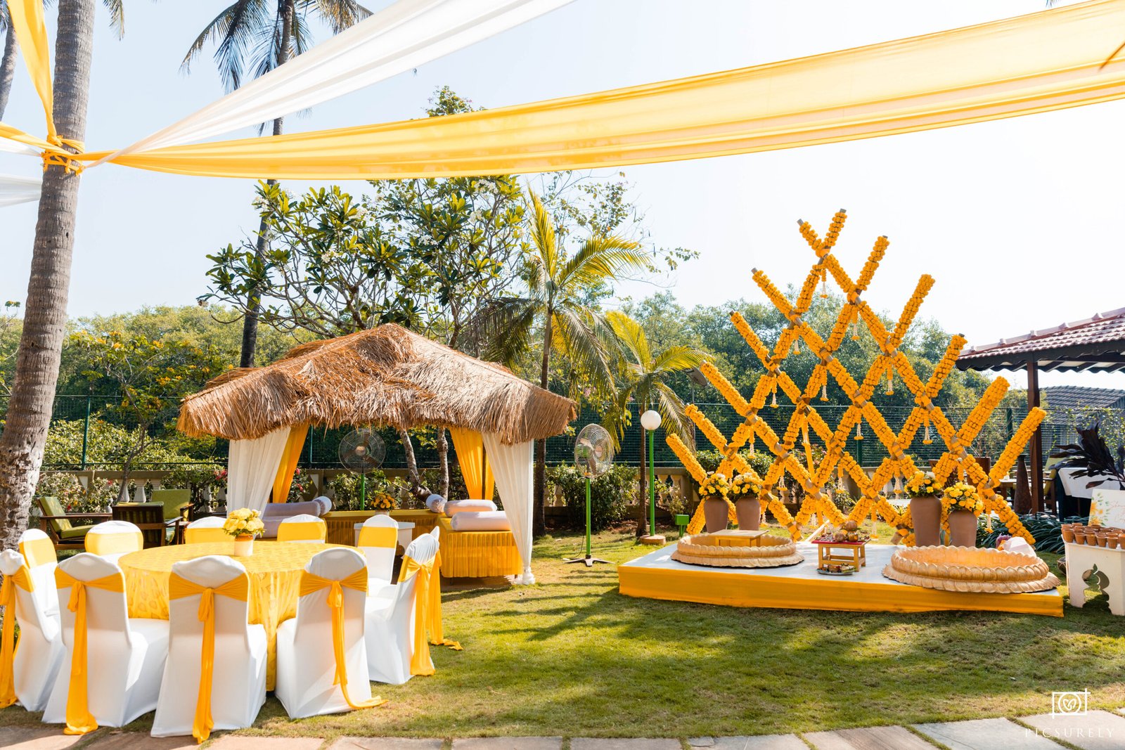 Haldi-5